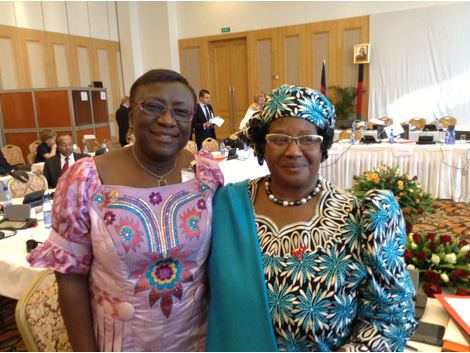 Définition des priorités et responsabilisation des Etats : deux défis majeurs de la santé mondiale après 2015