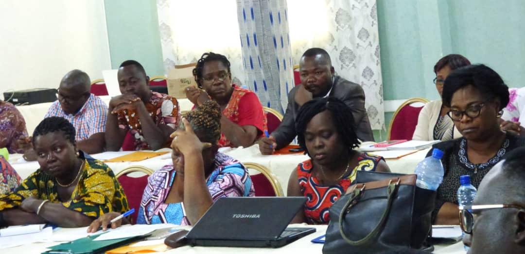 LE PLAN STRATÉGIQUE DE RENFORCEMENT DES CAPACITÉS DES INFIRMIÈRES ET INFIRMIERS, SAGES-FEMMES ET PERSONNELS DE LA DSIO